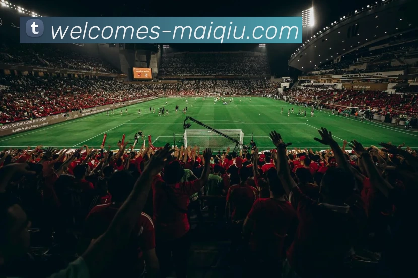 买球线上官方发展历程